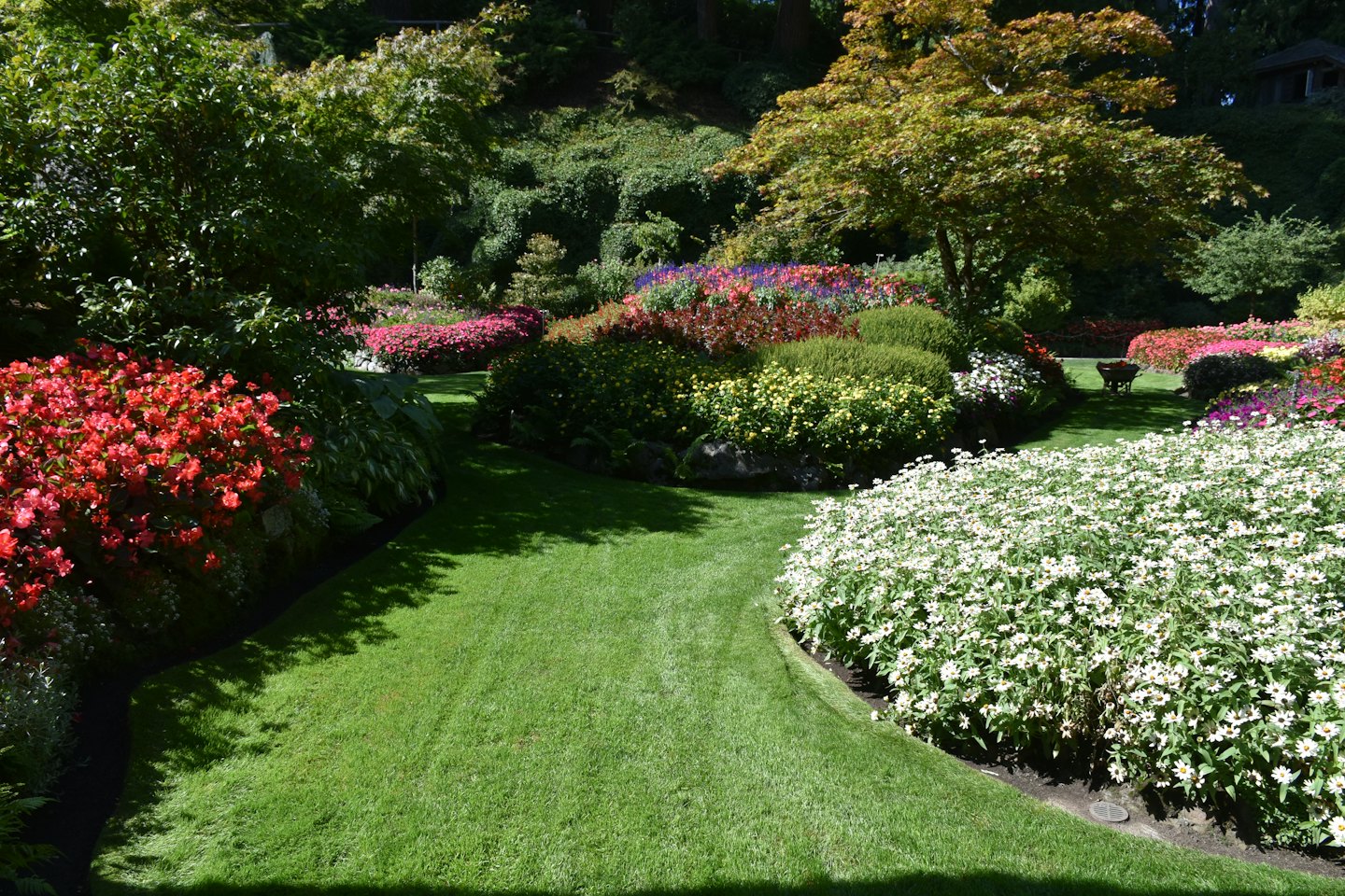 Vackra trädgårdsgångar slingrar sig genom rabatter med färgglada blommor och grönt lövverk.